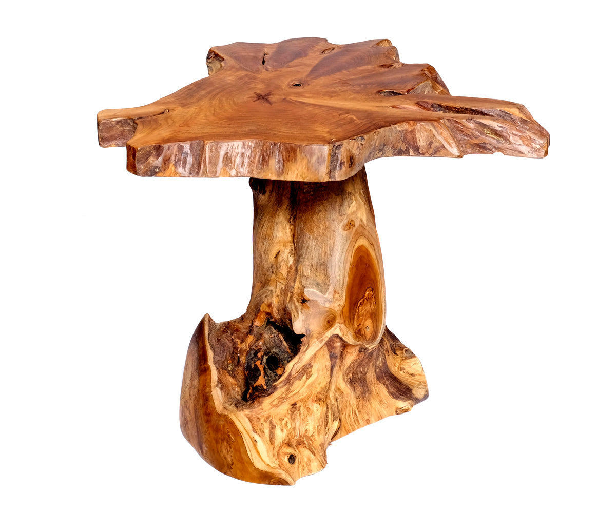 Baumstamm Hocker – Ansicht 7