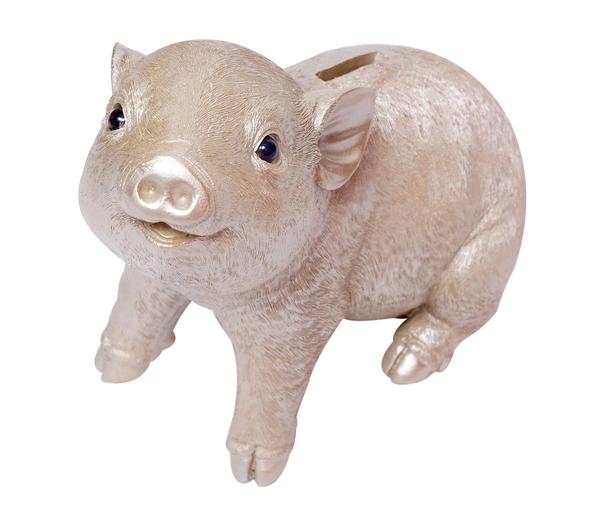Sparschwein Champagner / Lila – Champagner