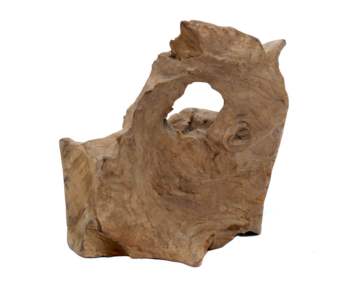Deko Teakholz Wurzel – 1000 - 1500 g