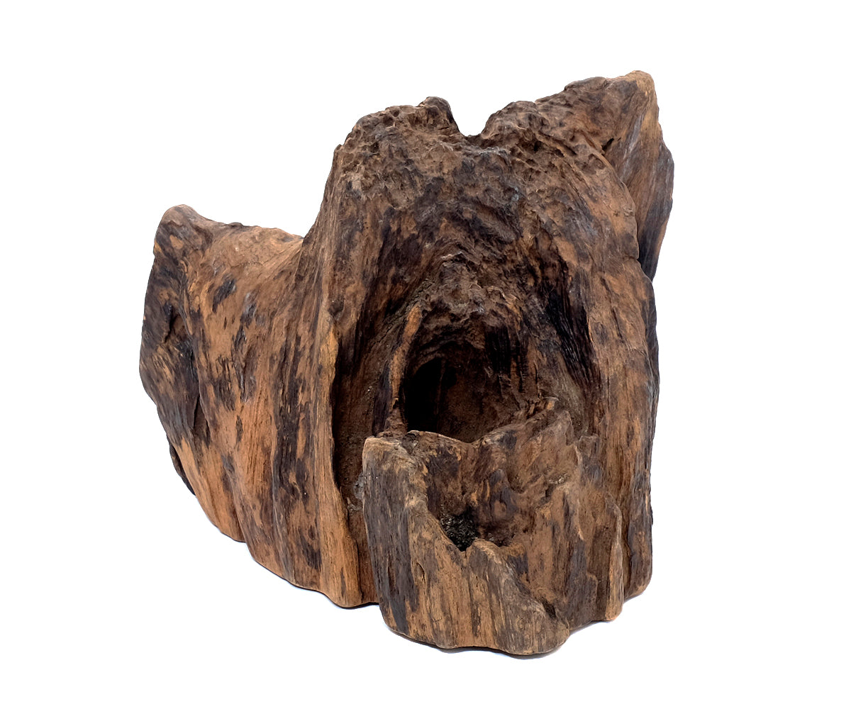 Deko Teakholz Wurzel – 1501 - 2500 g