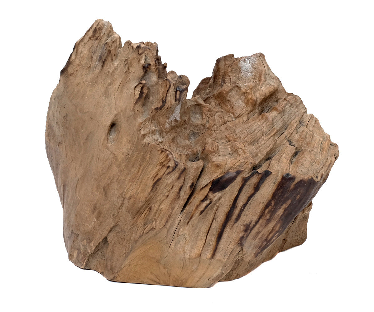 Deko Teakholz Wurzel – 2501 - 3500 g