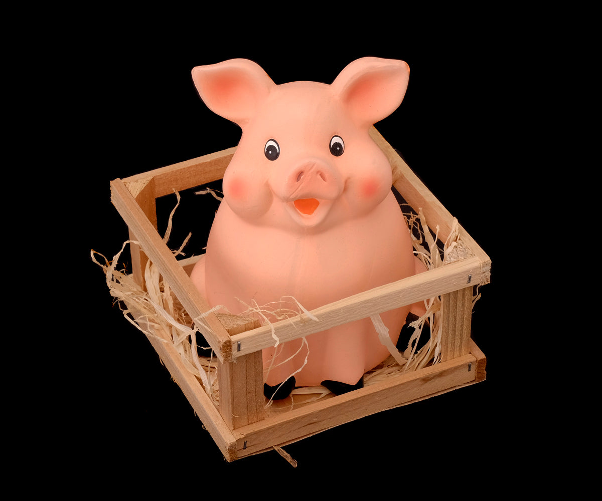 Sparschwein im Stall – Ansicht 5