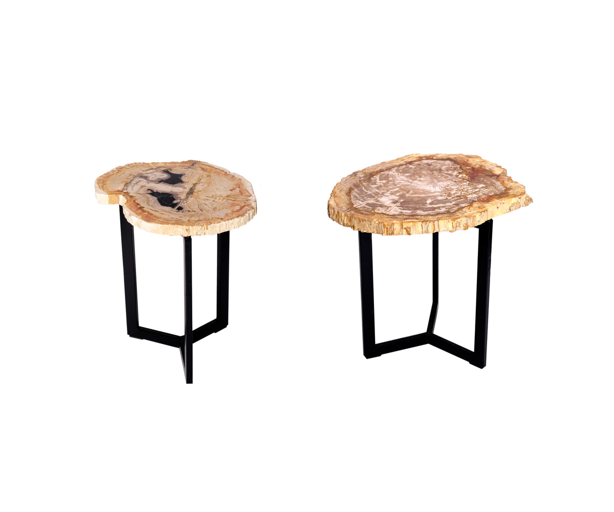 Couchtisch versteinertes Holz