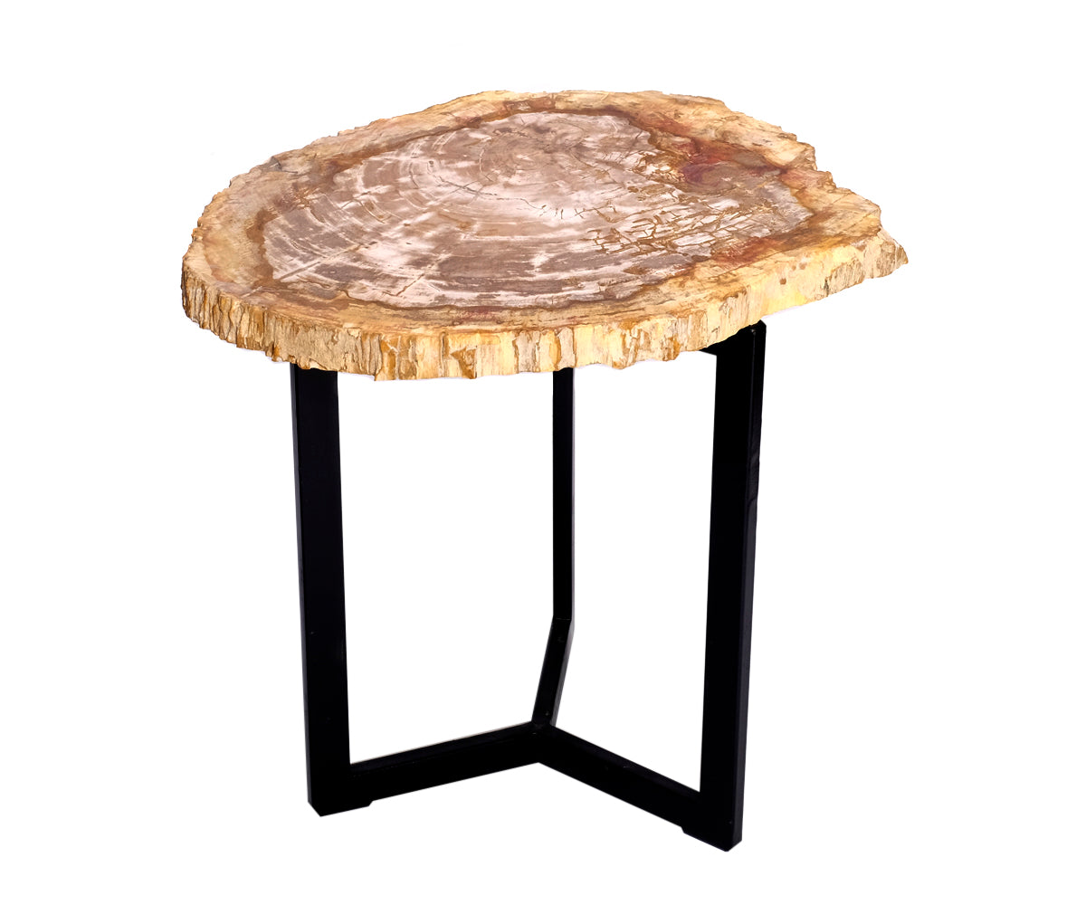 Couchtisch versteinertes Holz – ø 40 - 47 cm