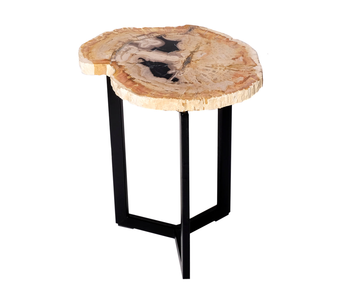 Couchtisch versteinertes Holz – ø 30 - 37 cm