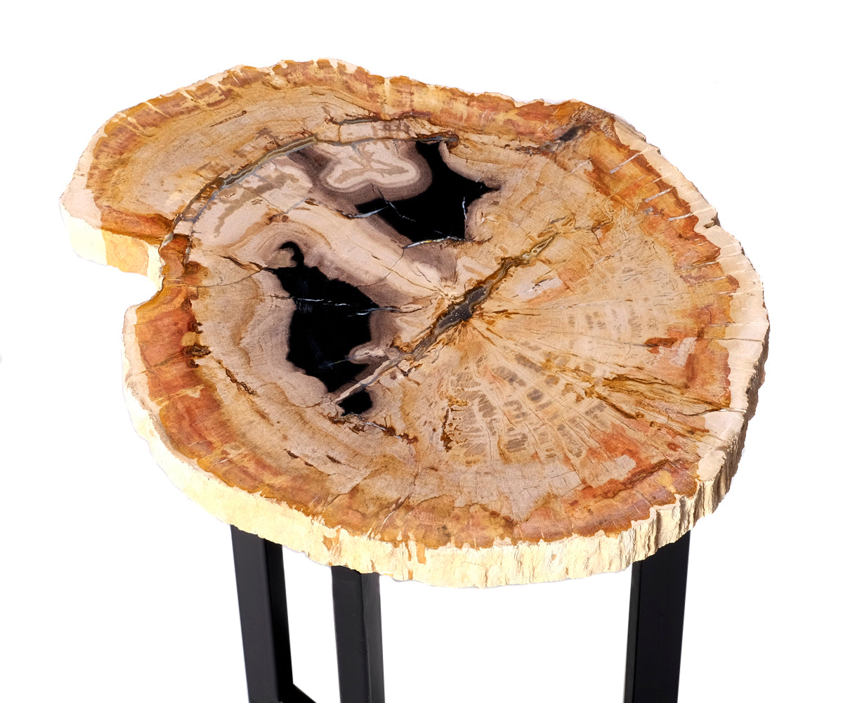 Couchtisch versteinertes Holz – ø 30 - 37 cm