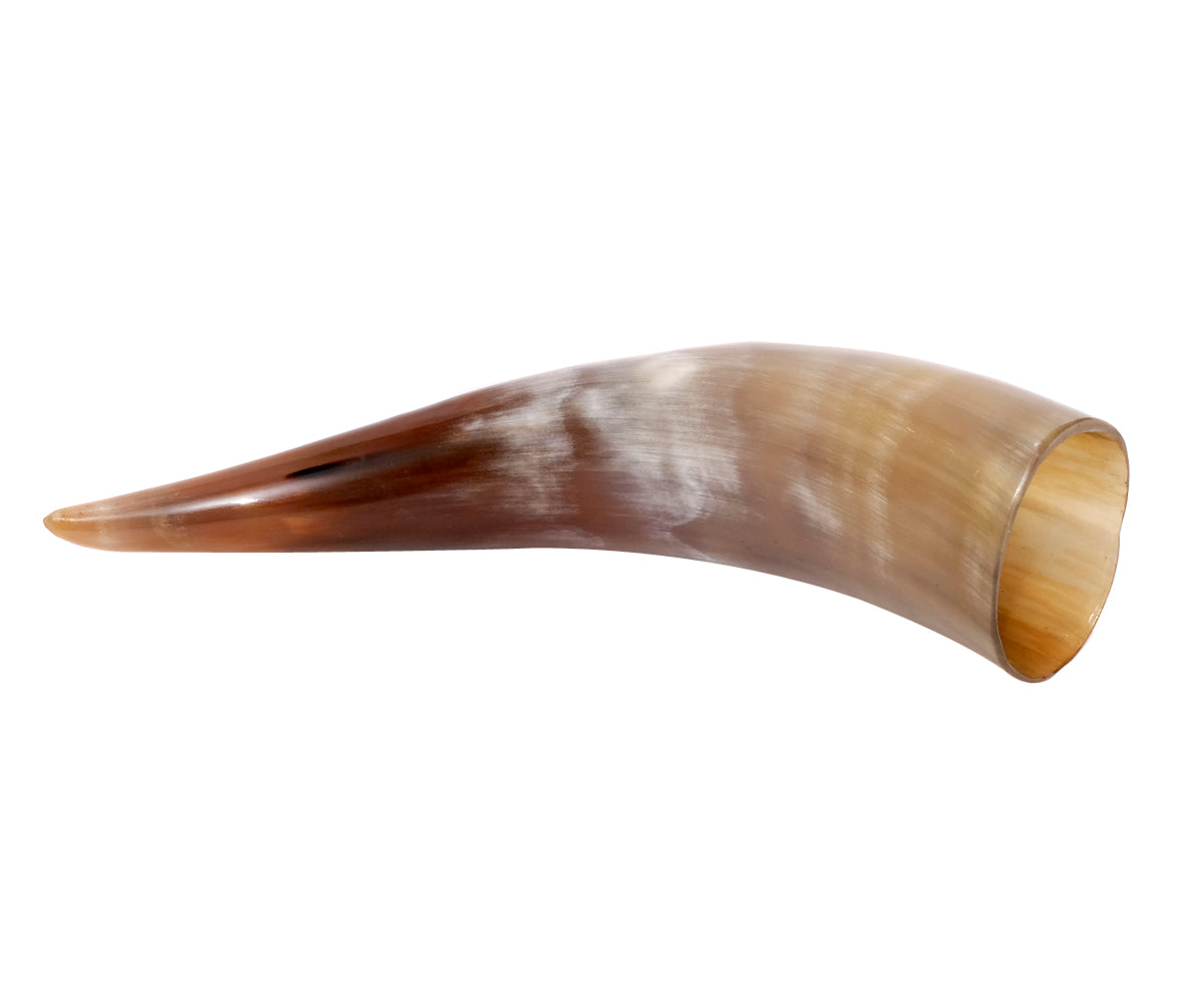 Trinkhorn Wikinger Set – 200 ml, Kuhhorn poliert mit Hornständer