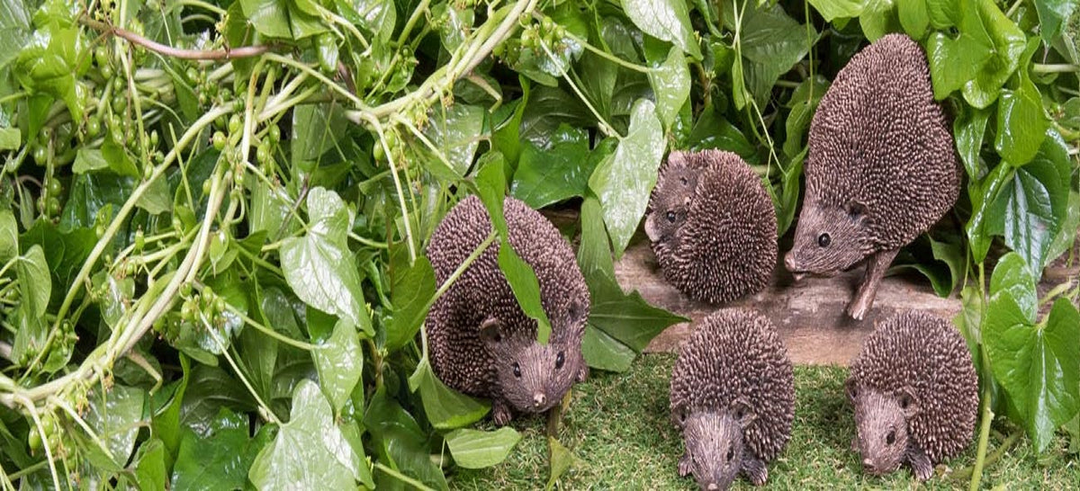 Igel Dekofigur