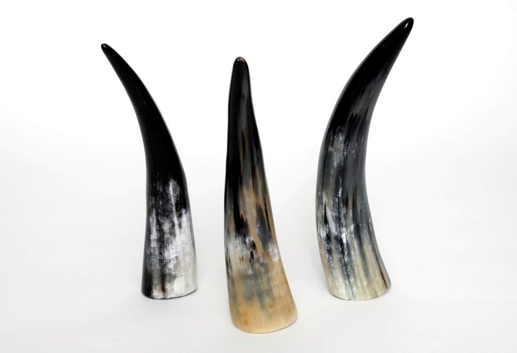 Trinkhorn - Dekohorn - Kuhhorn – Ansicht 2