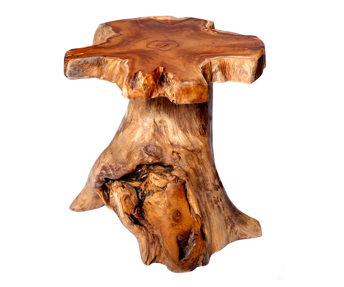 Baumstamm Hocker – Detailansicht