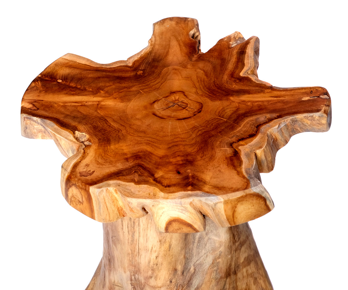 Baumstamm Hocker – Ansicht 4