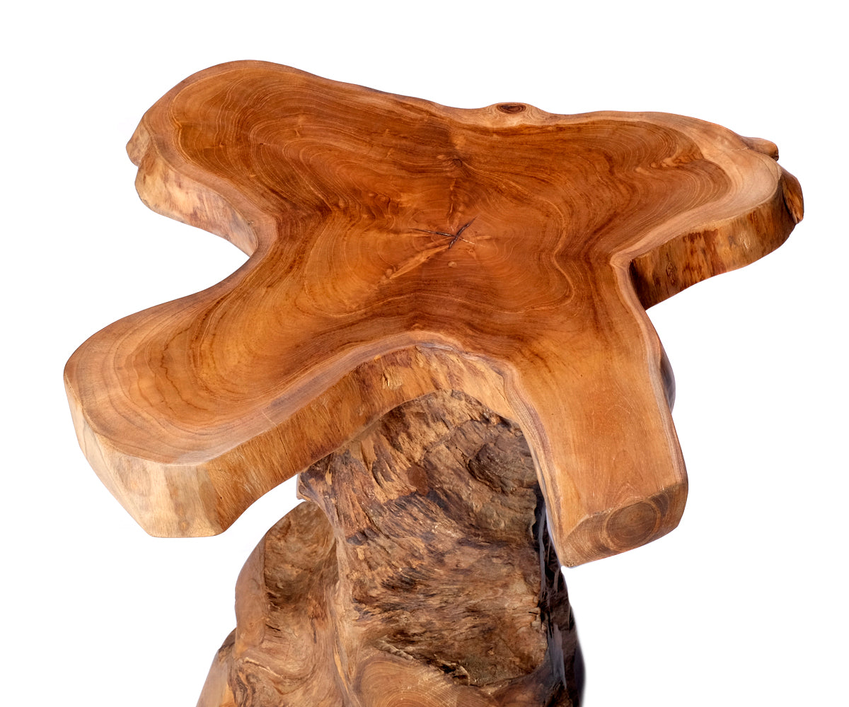 Baumstamm Hocker – Ansicht 8
