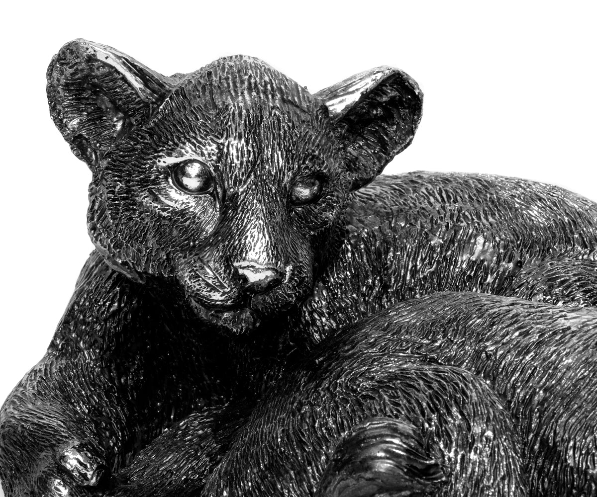 Tiger Kinder – I