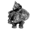 Tiger Kinder – I
