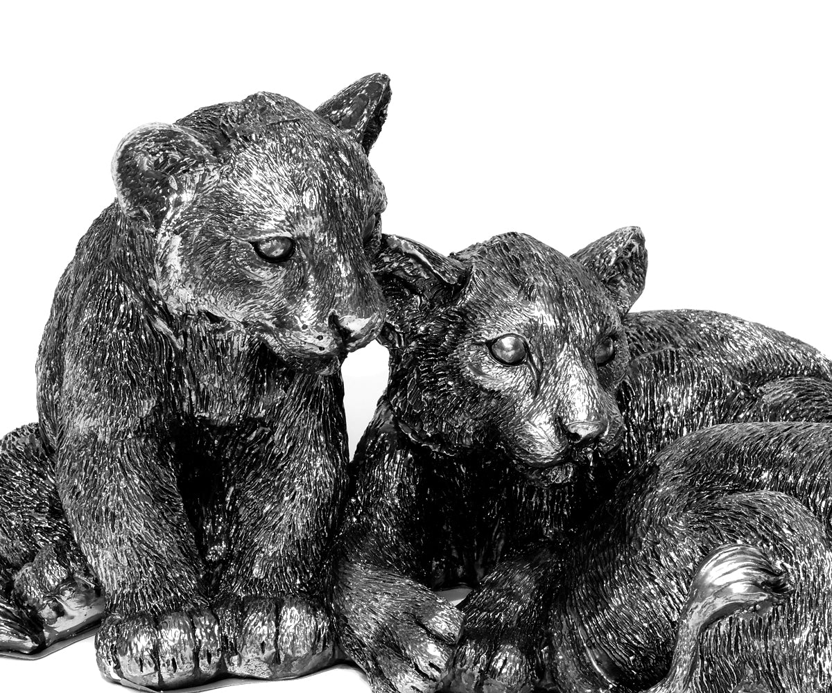 Tiger Kinder – III