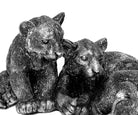 Tiger Kinder – III