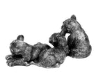 Tiger Kinder – III