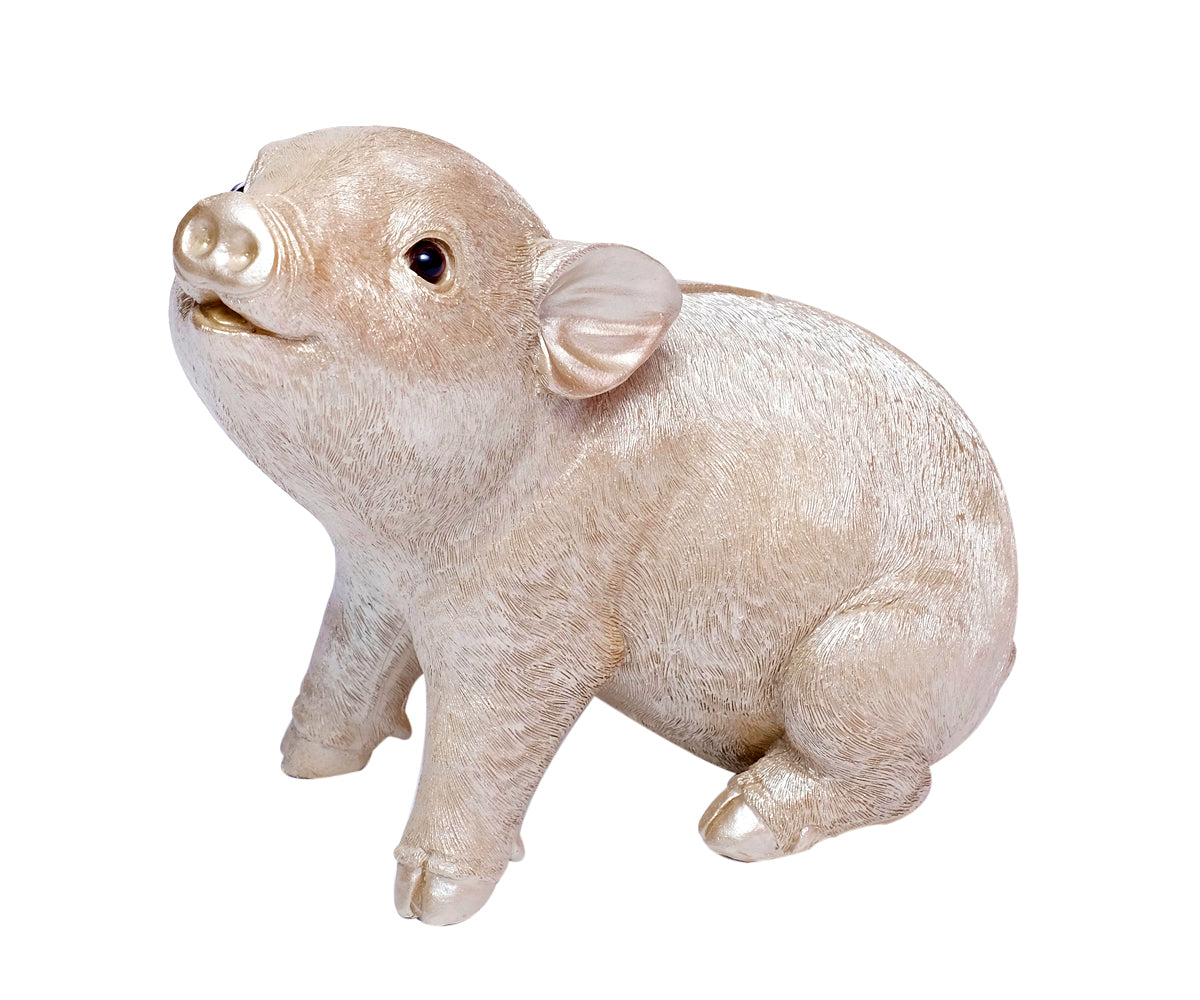 Sparschwein Champagner / Lila – Champagner