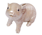 Sparschwein Champagner / Lila – Champagner