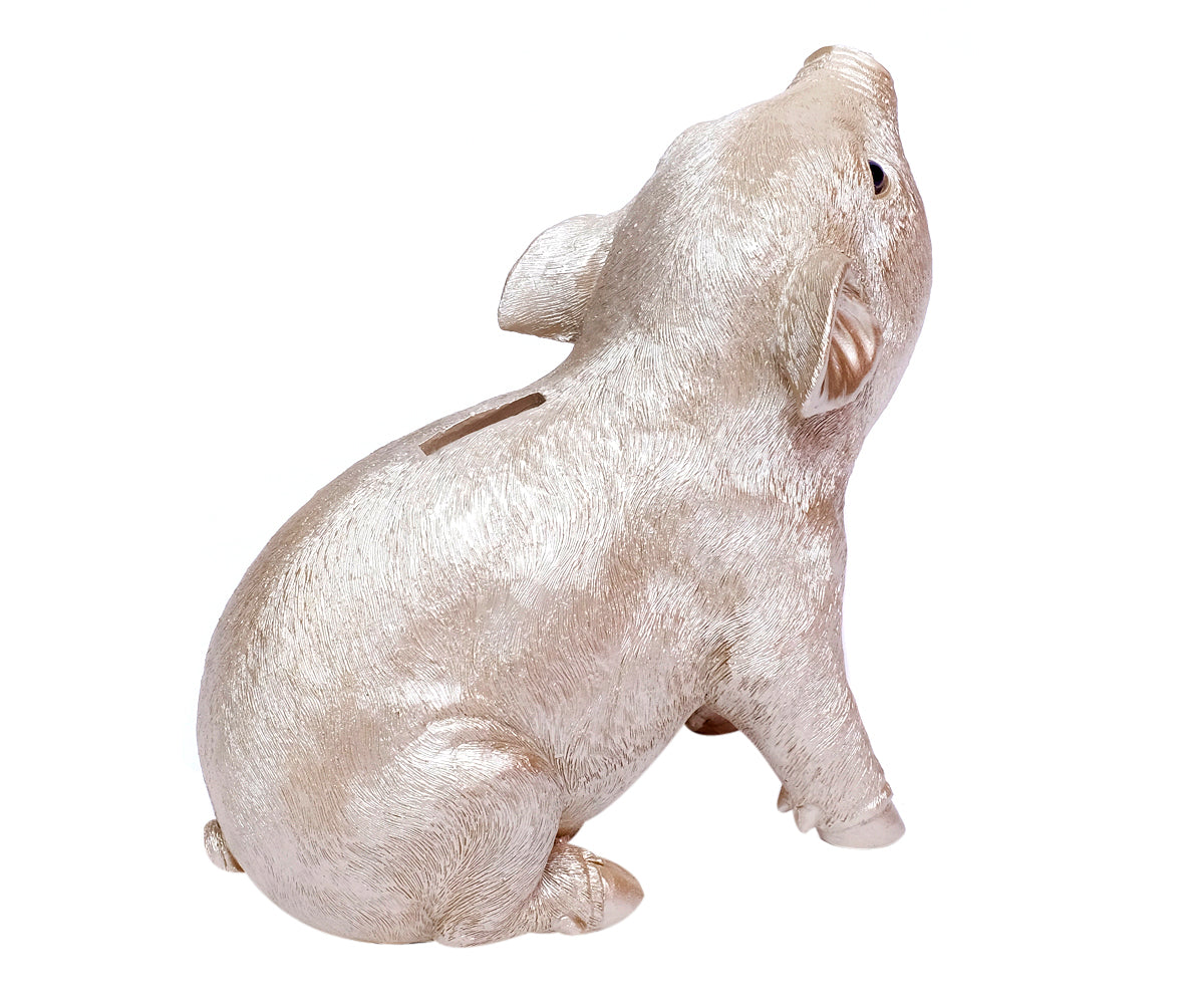 Sparschwein Champagner / Lila – Champagner