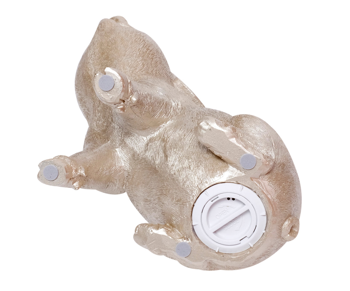 Sparschwein Champagner / Lila – Champagner