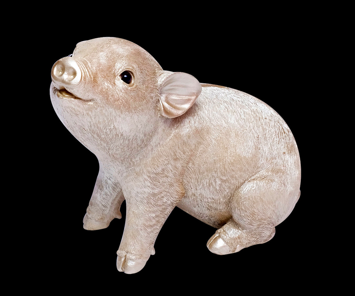 Sparschwein Champagner / Lila – Champagner
