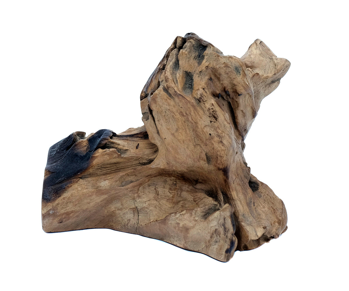 Deko Teakholz Wurzel – 1501 - 2500 g