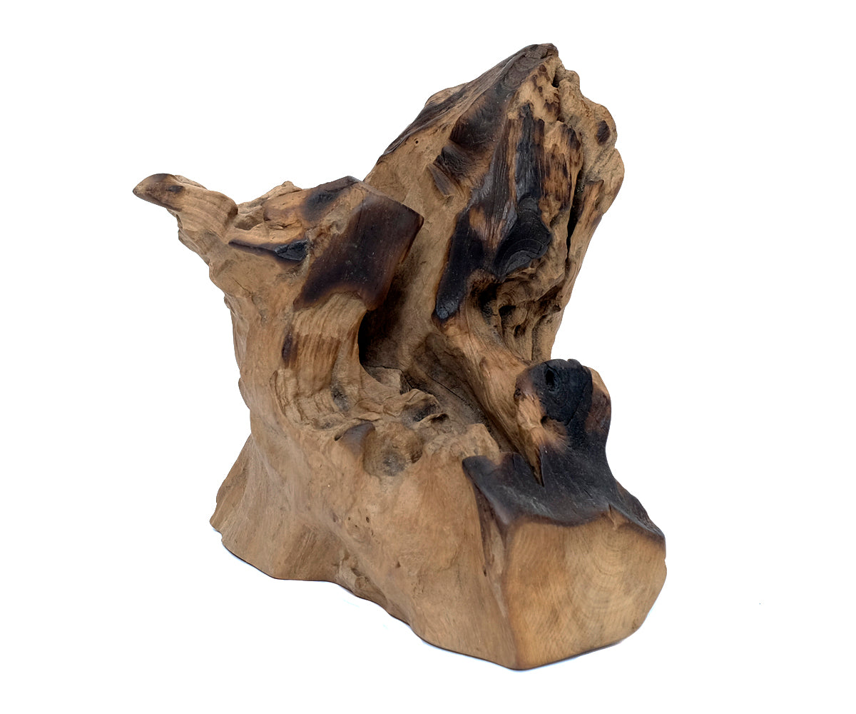 Deko Teakholz Wurzel – 1501 - 2500 g