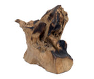 Deko Teakholz Wurzel – 1501 - 2500 g