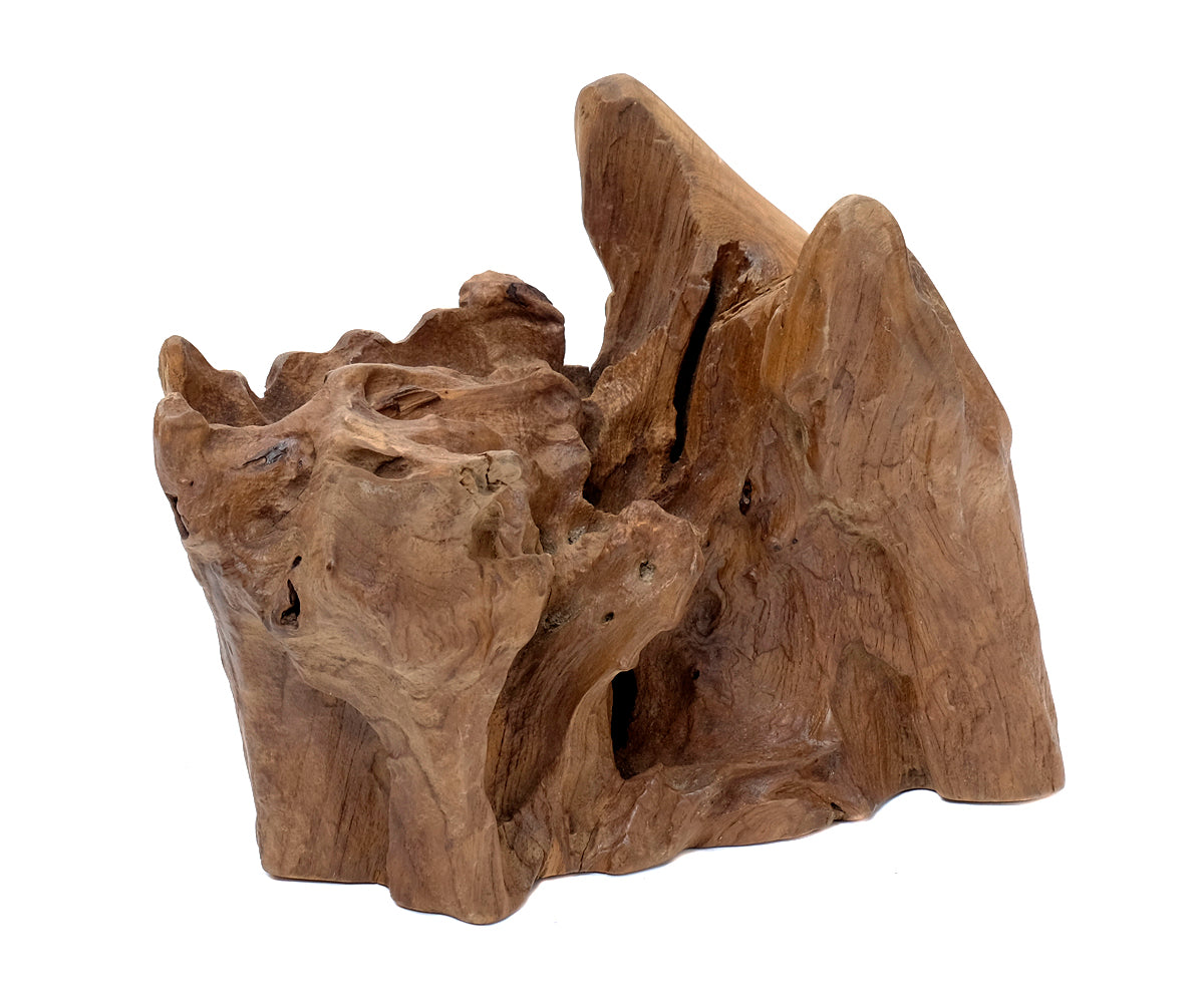 Deko Teakholz Wurzel – 1501 - 2500 g