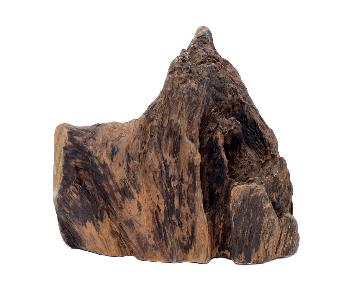 Deko Teakholz Wurzel – 1501 - 2500 g