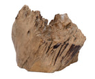 Deko Teakholz Wurzel – 2501 - 3500 g