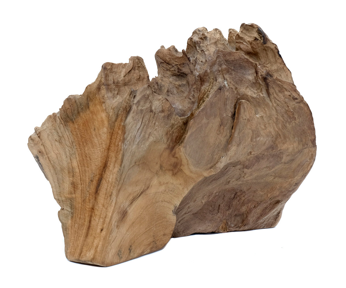 Deko Teakholz Wurzel – 2501 - 3500 g