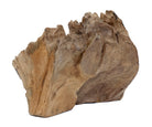 Deko Teakholz Wurzel – 2501 - 3500 g
