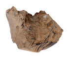 Deko Teakholz Wurzel – 2501 - 3500 g
