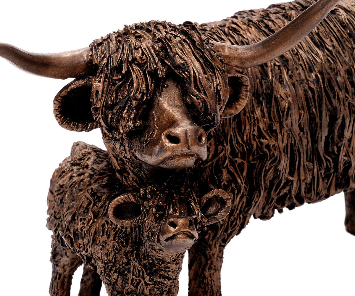 Highlander Rind – Detailansicht