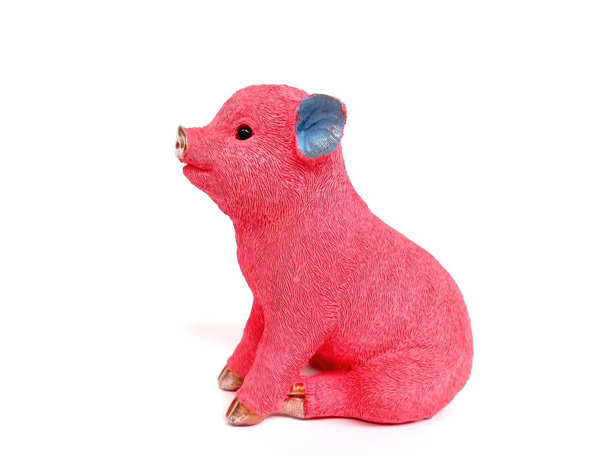 Sparschwein Champagner / Lila – Pink