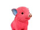 Sparschwein Champagner / Lila – Pink