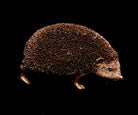 Igel Dekofigur – 1