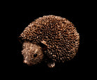 Igel Dekofigur – 2