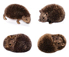 Igel Dekofigur – Detailansicht