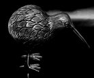 Kiwi Tier – Silber-Schwarz, groß