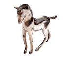 Silbernes Pferd – Klein
