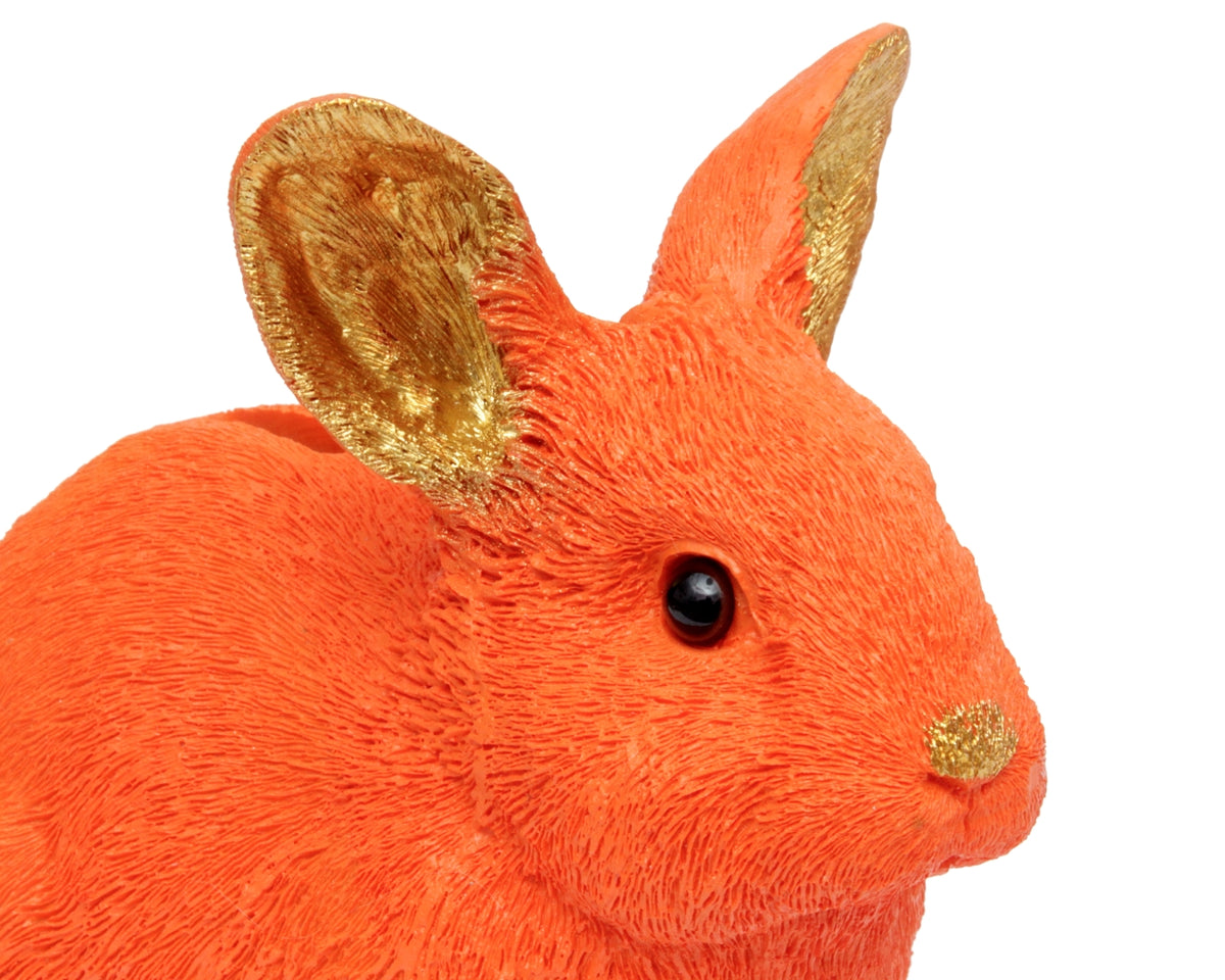 Sparschwein Hase – Ansicht 4