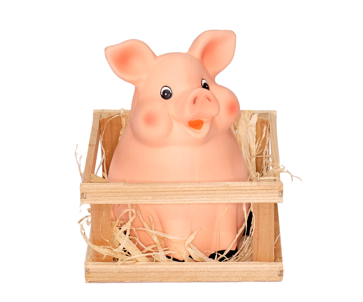 Sparschwein im Stall