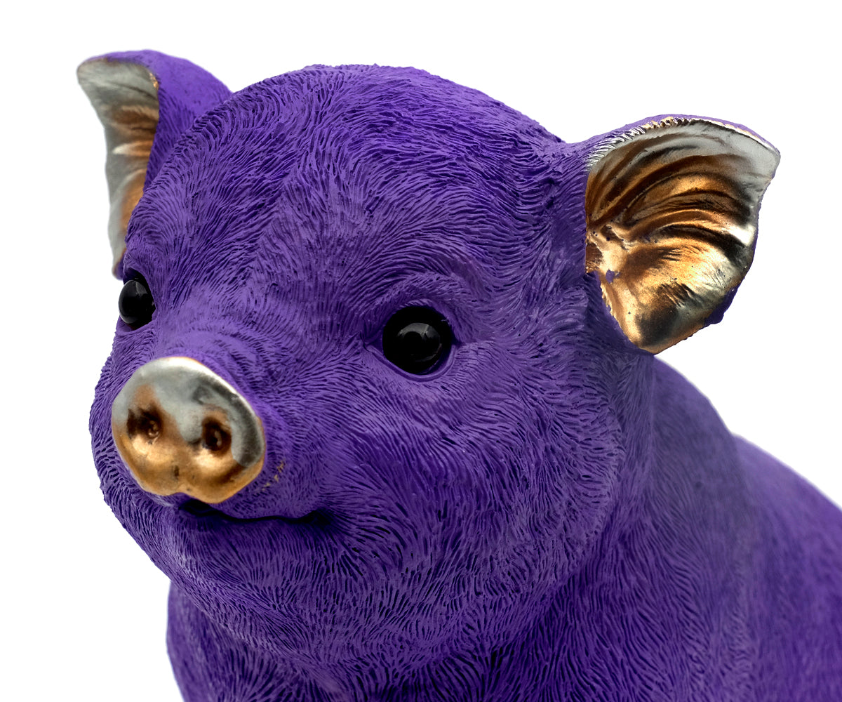 Sparschwein Champagner / Lila – Lila