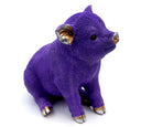 Sparschwein Champagner / Lila – Lila