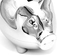 Sparschwein versilbert – Detailansicht