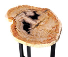 Couchtisch versteinertes Holz – ø 30 - 37 cm