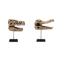 Reptilien Schädel Dinosaurier Kopf aus Polyresin 1